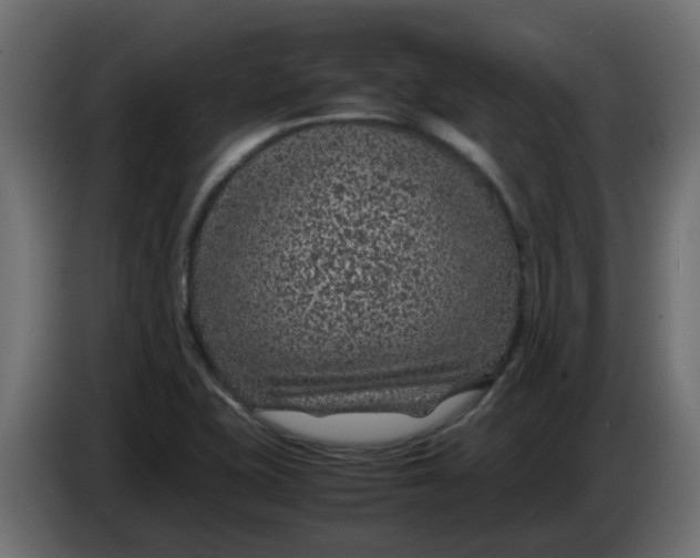 X0000083581415200703021802