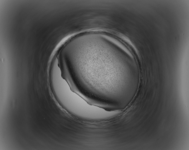 X0000083581416200703021802