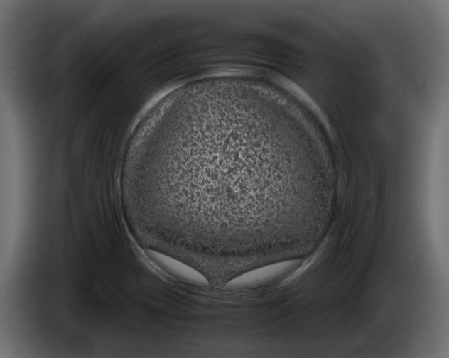 X0000083581417200703021802