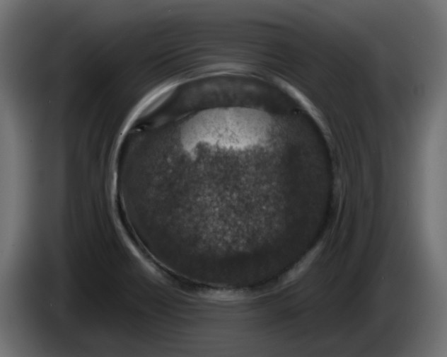 X0000083581418200703021802