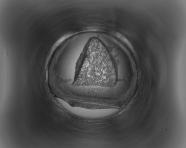 X0000083581419200703021802