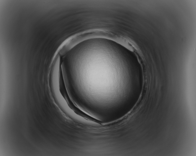 X0000083581420200703021802