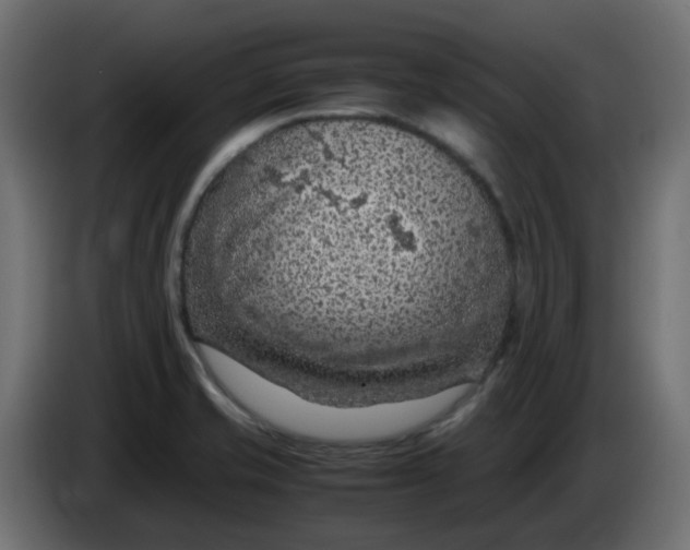 X0000083581421200703021802