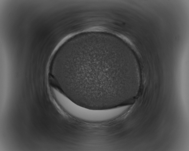 X0000083581422200703021802