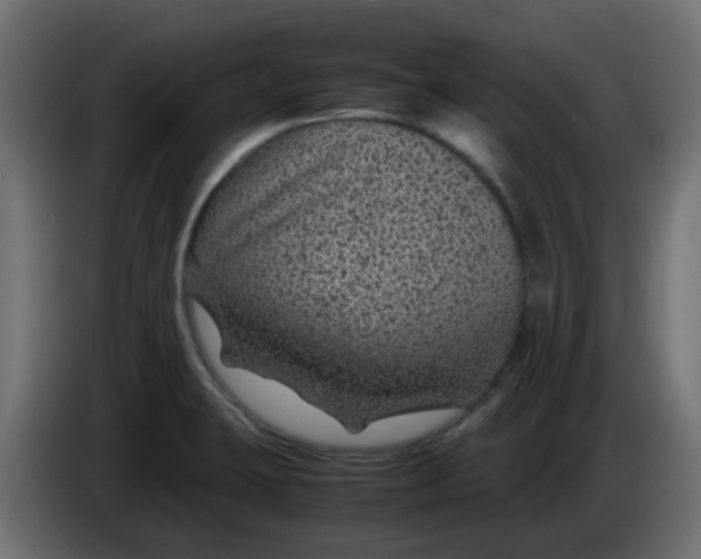 X0000083581423200703021802