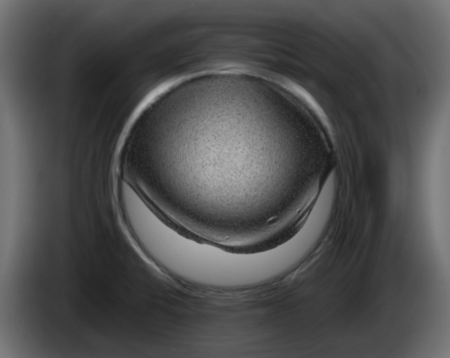 X0000083581424200703021802