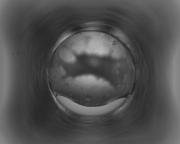 X0000083581425200703021802