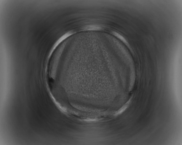 X0000083581426200703021802