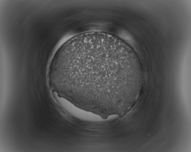 X0000083581427200703021803