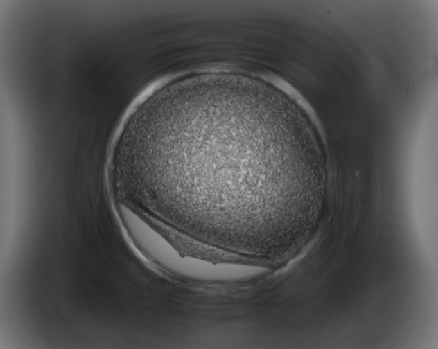 X0000083581429200703021803