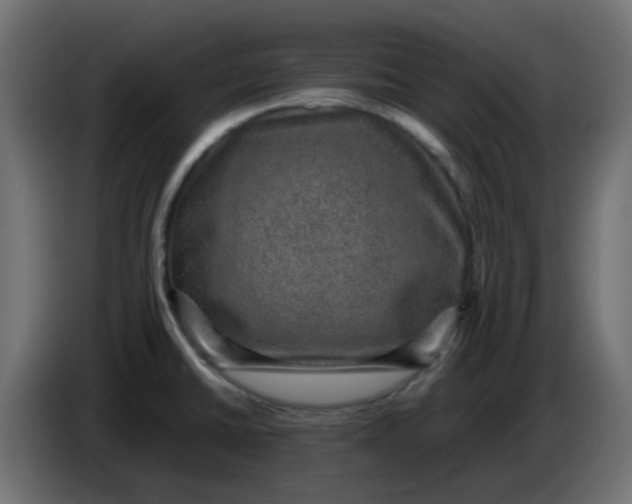 X0000083581430200703021803