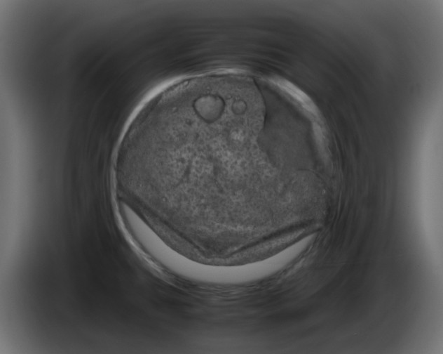 X0000083581431200703021803