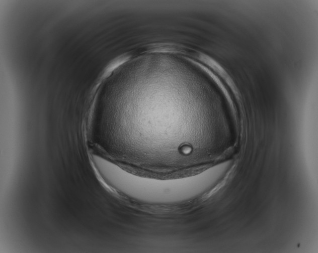 X0000083581433200703021803