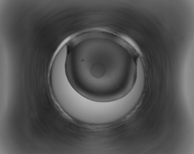 X0000083581436200703021803