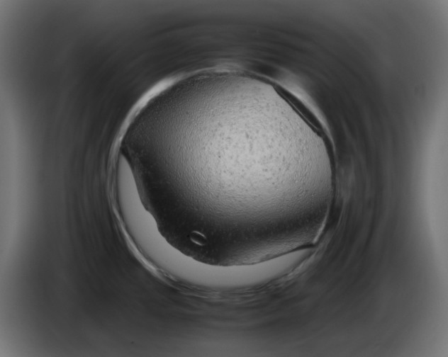 X0000083581437200703021803