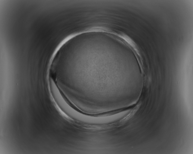 X0000083581438200703021803