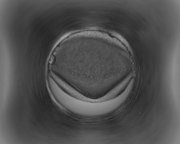 X0000083581439200703021803