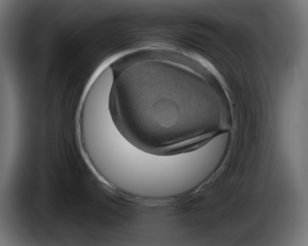 X0000083581440200703021803