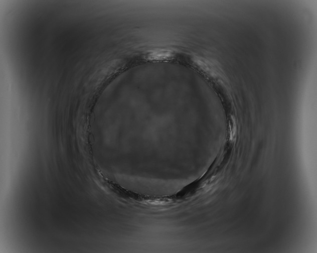 X0000083581441200703021802