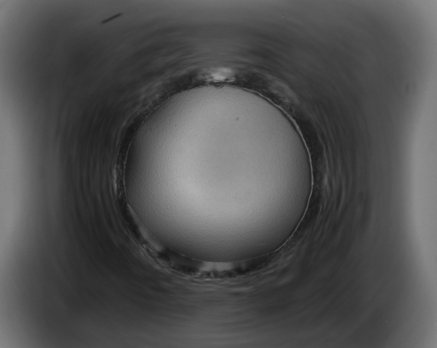 X0000083581442200703021802