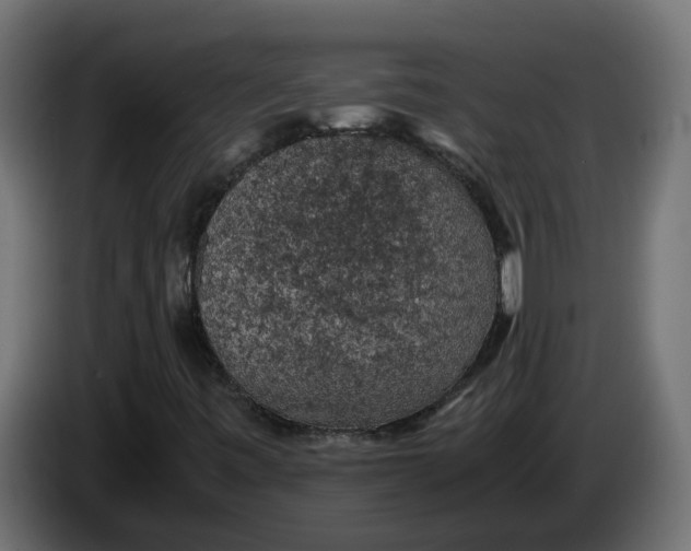 X0000083581443200703021802