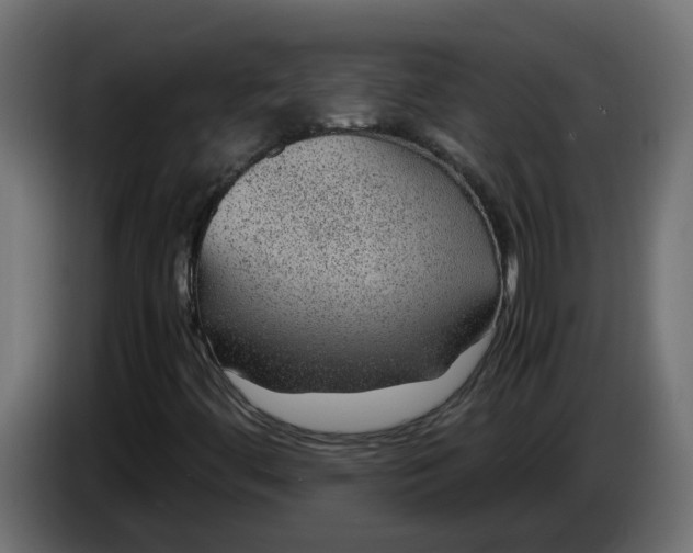 X0000083581444200703021802