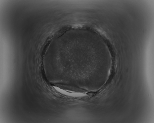 X0000083581445200703021802