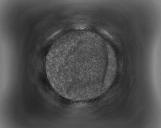 X0000083581446200703021802