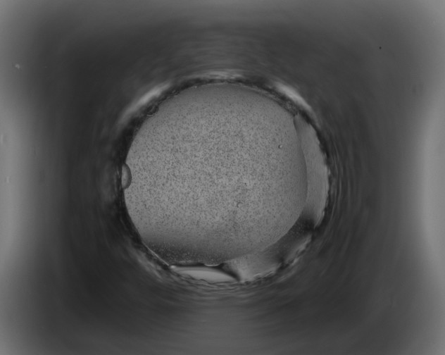 X0000083581448200703021802