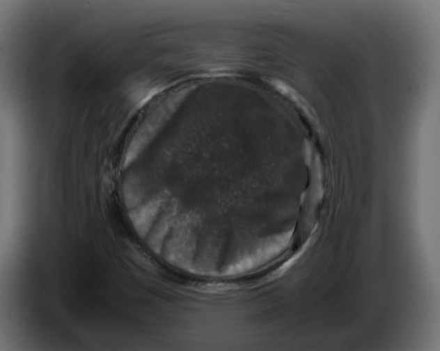 X0000083581449200703021802