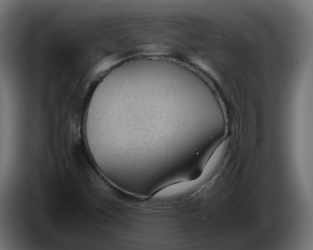 X0000083581451200703021802