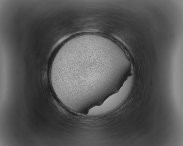 X0000083581452200703021802