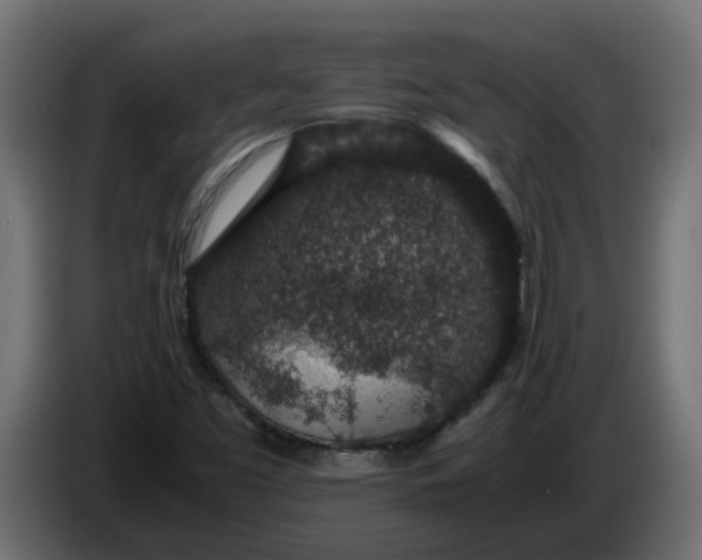 X0000083581453200703021801