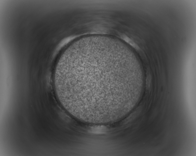 X0000083581454200703021801