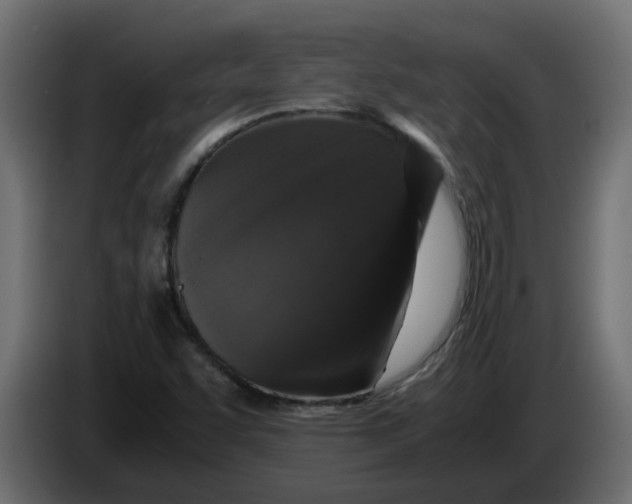 X0000083581455200703021801