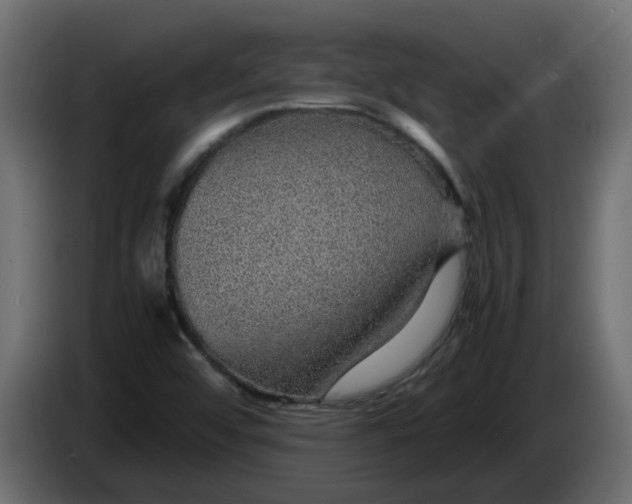 X0000083581456200703021801