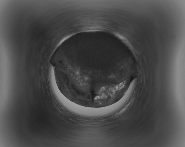 X0000083581457200703021801