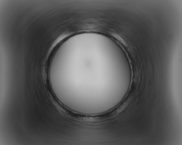 X0000083581458200703021801