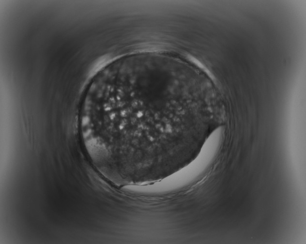 X0000083581459200703021801