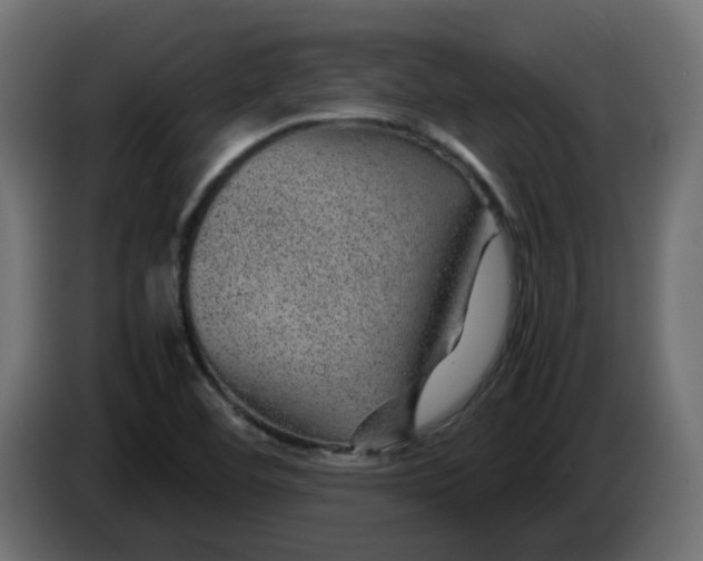 X0000083581460200703021801