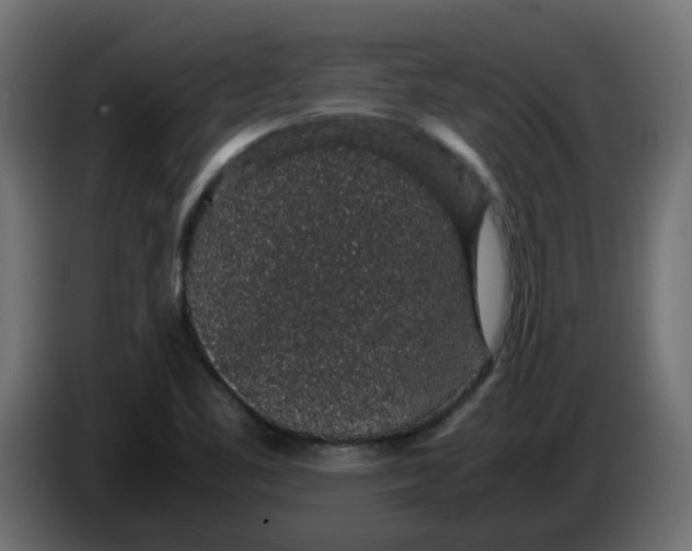 X0000083581461200703021801