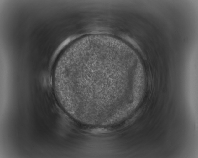 X0000083581462200703021801