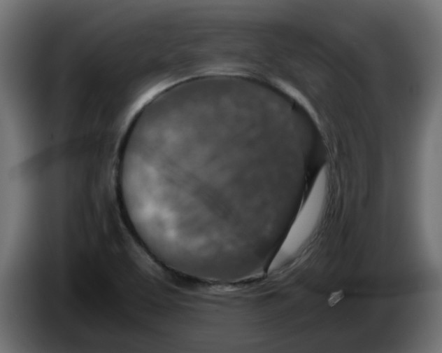 X0000083581463200703021801