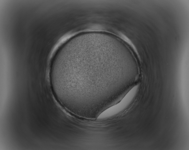 X0000083581464200703021801