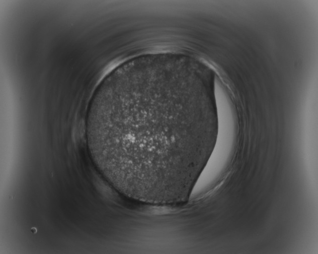 X0000083581465200703021801