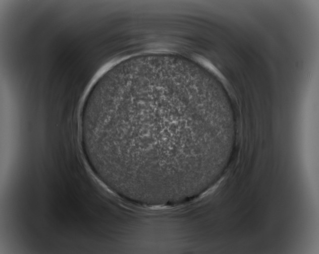 X0000083581467200703021801