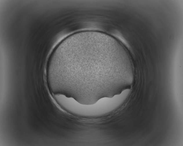 X0000083581468200703021801