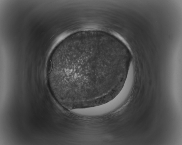 X0000083581469200703021801