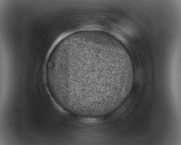 X0000083581470200703021801