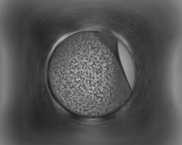 X0000083581471200703021801